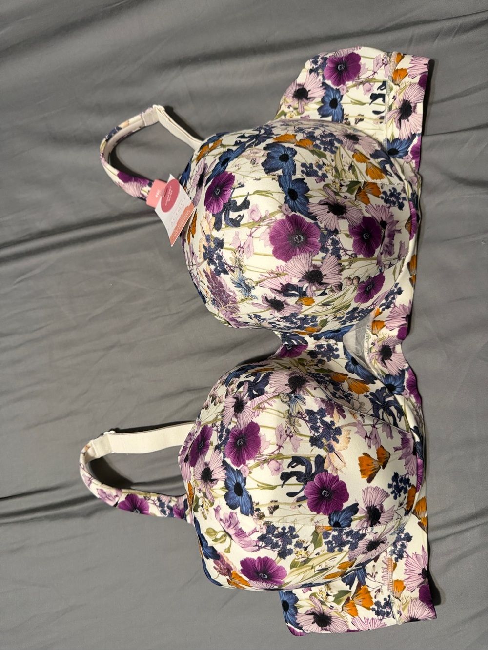 Lane Bryant comfort bliss
